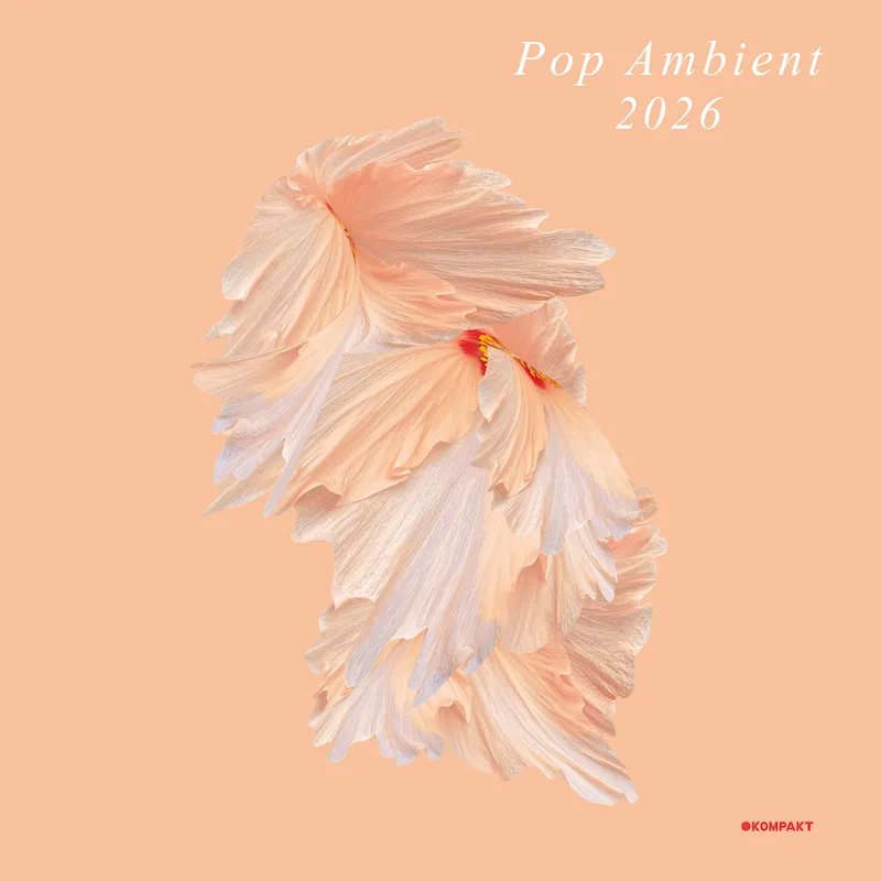 Various - Pop Ambient 2026 : LP＋DL