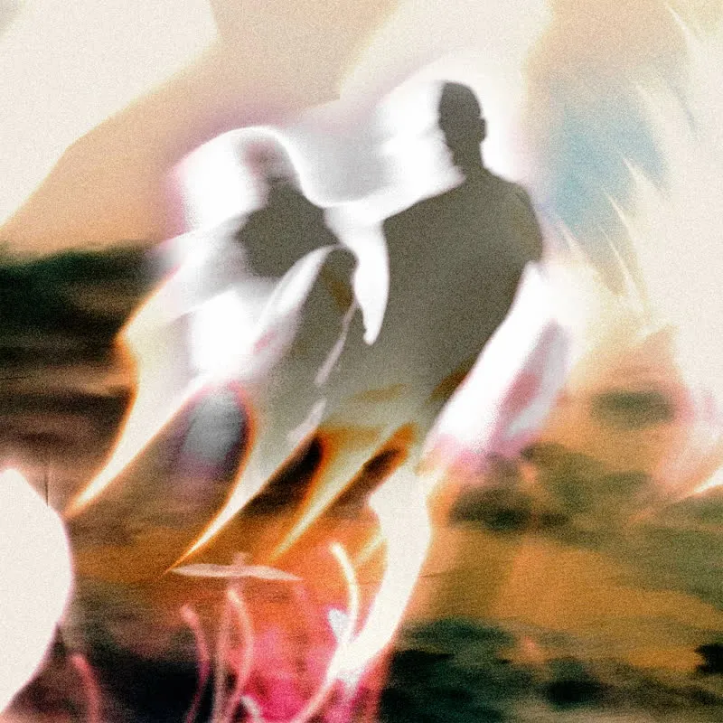 Otto Taimela - Uncommon & Fragile : LP