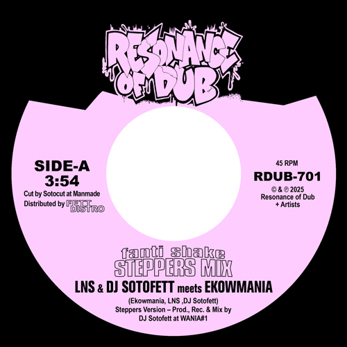 LNS & DJ Sotofett meets Ekowmania - Fanti Shake (Steppers Mix) / Step-Eight : 7inch
