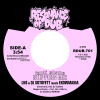 LNS & DJ Sotofett meets Ekowmania - Fanti Shake (Steppers Mix) / Step-Eight