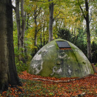 In Transit - In Transit