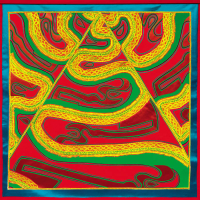 Natural Information Society - Perseverance Flow