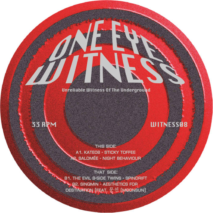 Various Artists - Witness08 : 12inch