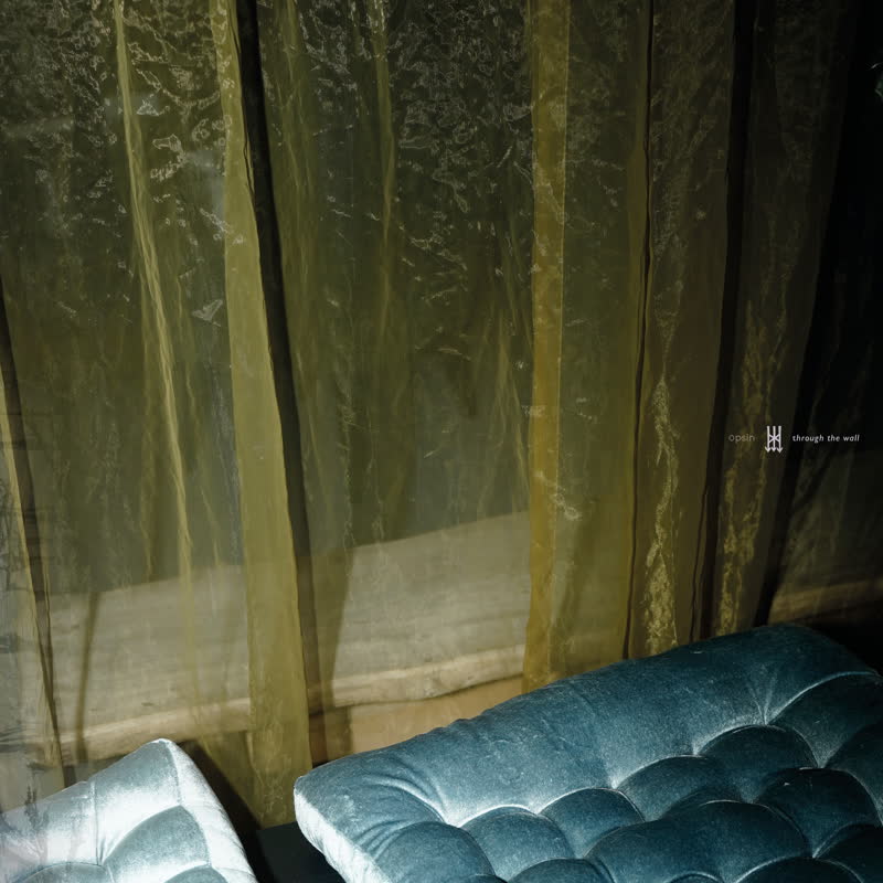 Opsin - Through The Wall : 2LP