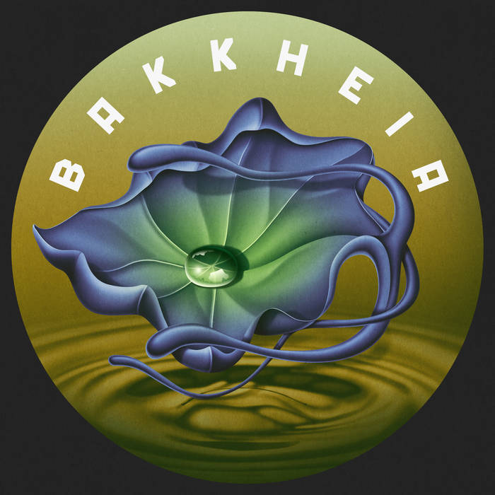 Steevio - BH009 : 12inch