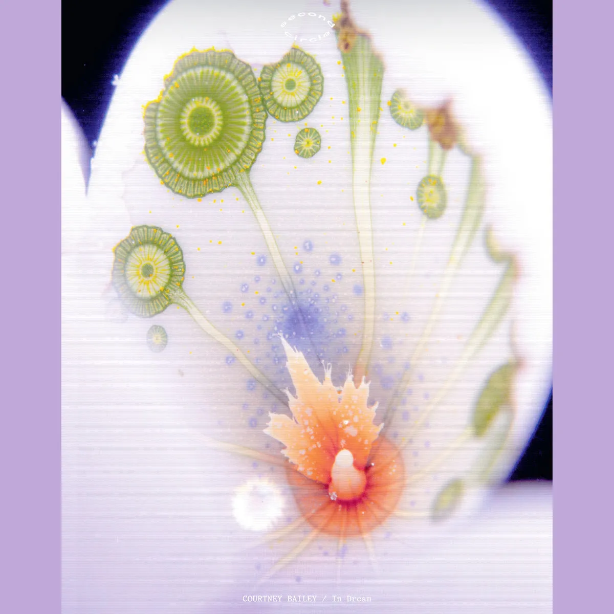 Courtney Bailey - In Dream : 12inch