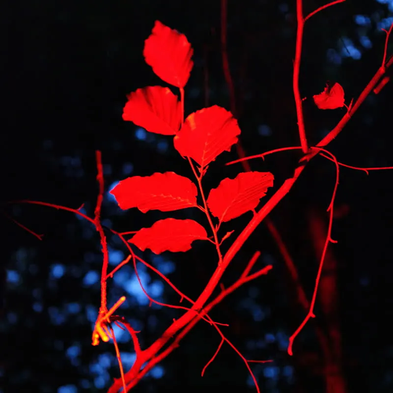 Ludwig Berger - Ecotonalities: No Other Home Than the In-Between : LP