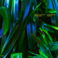 Anushka Chkheidze + Robert Lippok - Uncontrollable Thoughts