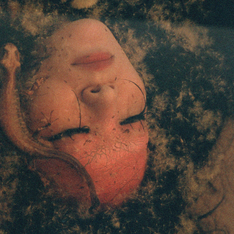 ju sei - 申(もうす) : LP