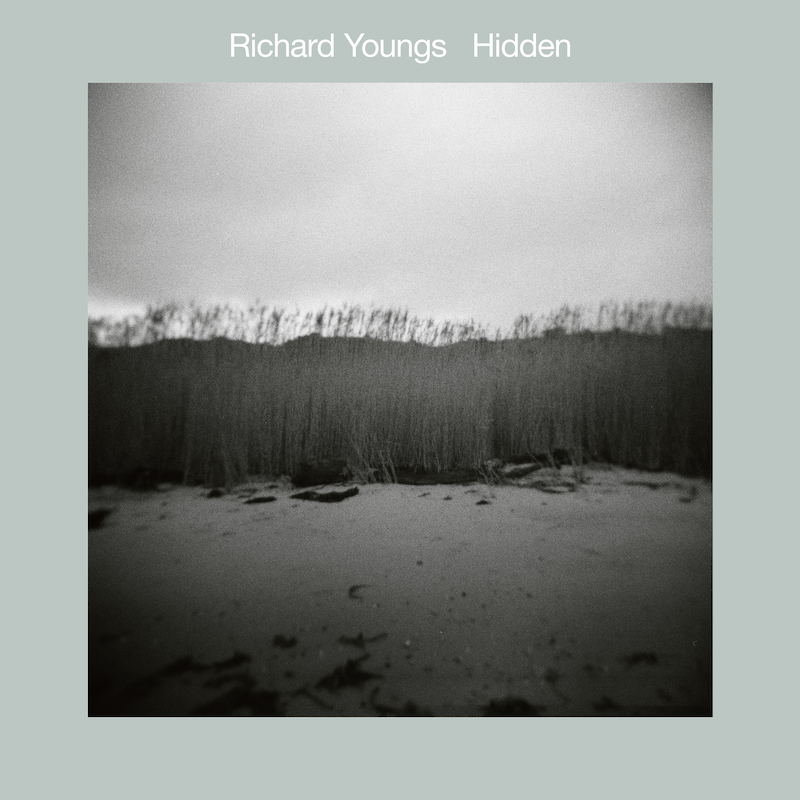 Richard Youngs - Hidden : LP＋DL