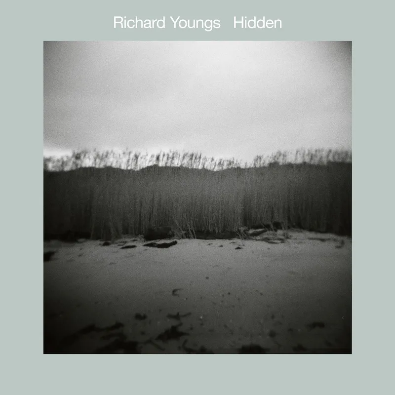 Richard Youngs - Hidden : LP＋DL