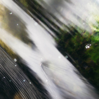 n_t0116285_390.jpg