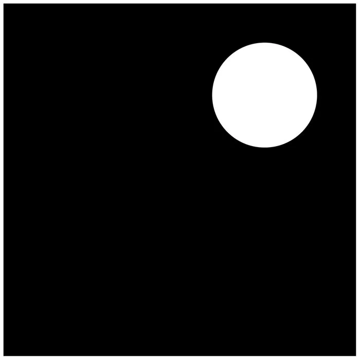 Susumu Yokota - Grinning Cat : 2LP