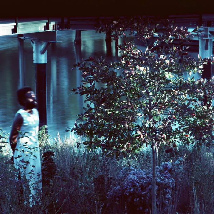 JJJJJerome Ellis - Vesper Sparrow : LP