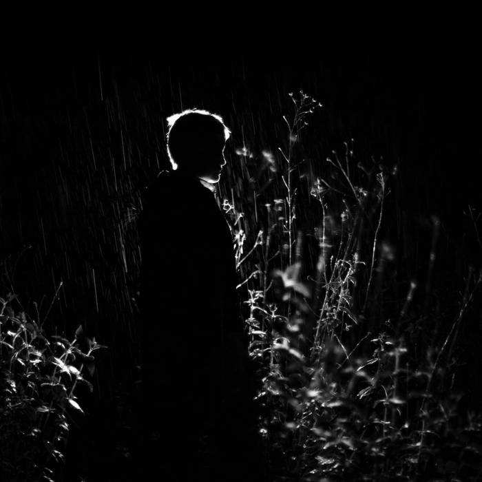 Alejandra Cárdenas (Ale Hop) - A Body Like a Home (LP, Gatefold, Booklet) Gatefold vinyl with poem booklet : LP