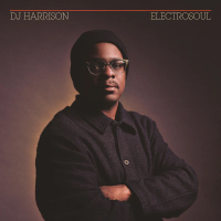 DJ Harrison - ElectroSoul