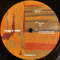 レコードショップ NEWTONE RECORDS:輸入レコード通販サイト