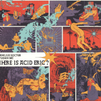Cornelius Doctor / Tushen Raï - Where is Acid Eric?