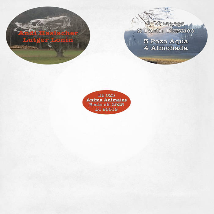 Andi Haslacher & Lutger Lonin - Anima Animales : 7inch
