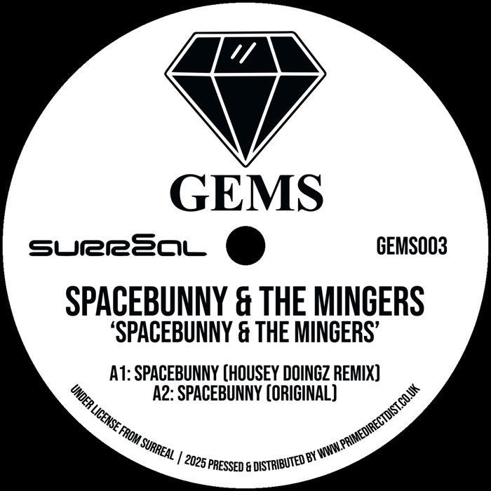 Spacebunny / The Mingers - Spacebunny / Fancy A Shag : 12inch
