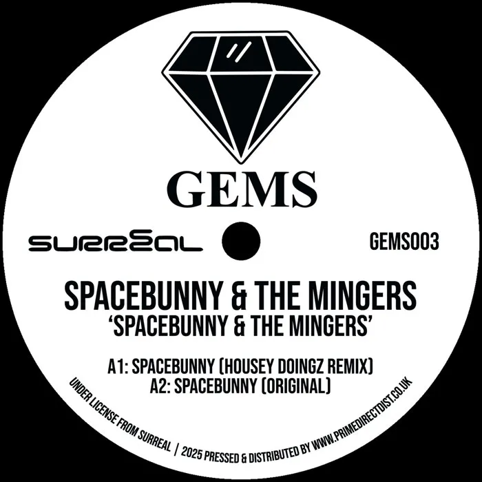 Spacebunny / The Mingers - Spacebunny / Fancy A Shag : 12inch