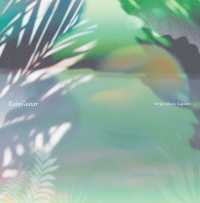 Sergio Maria Saguaro (Hiroaki Sugawara) - Rain Guitar