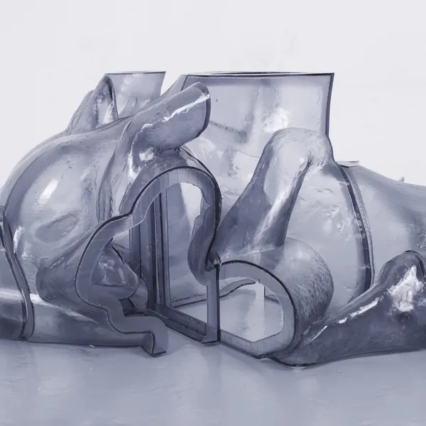 Carrier - Rhythm Immortal : 2LP