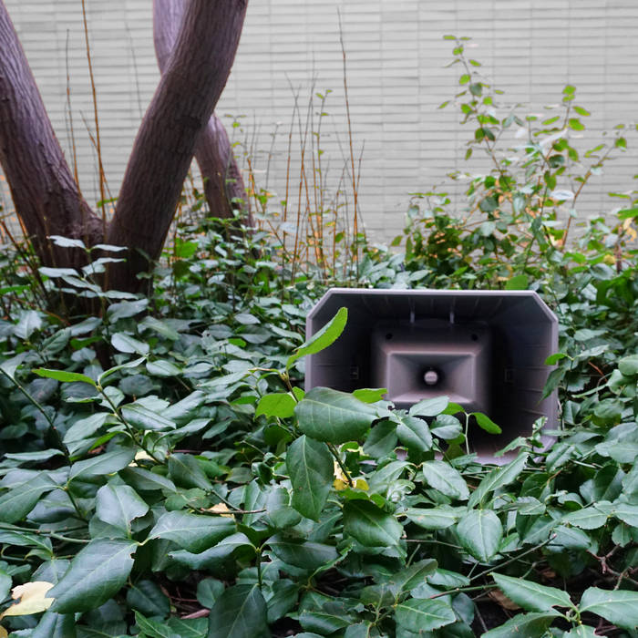 Jasmine Guffond - Muzak for the Encouragement of Unproductivity : LP