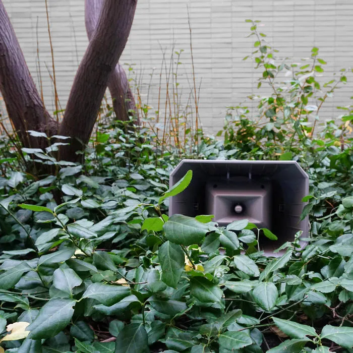 Jasmine Guffond - Muzak for the Encouragement of Unproductivity : LP