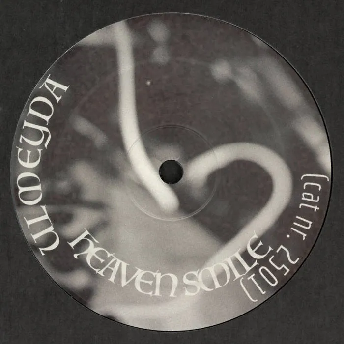 2501 - Ulmeyda : 2x12inch