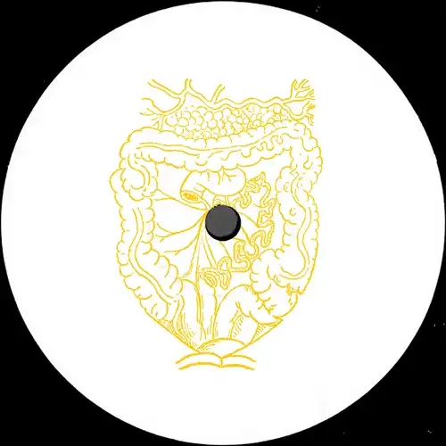 Scam Dust - Gastric Pulse : 12inch