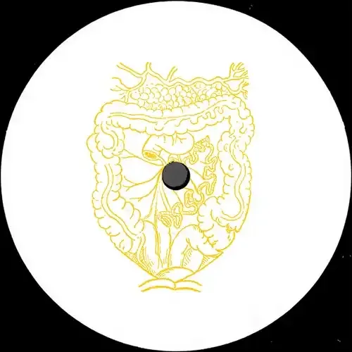 Scam Dust - Gastric Pulse : 12inch