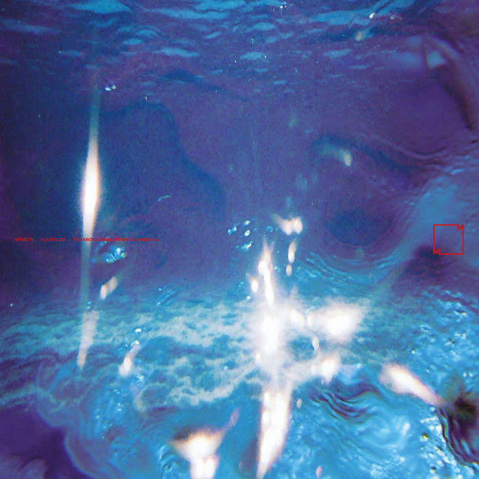 Fabiano Do Nascimento & E Ruscha V - Aquáticos : LP