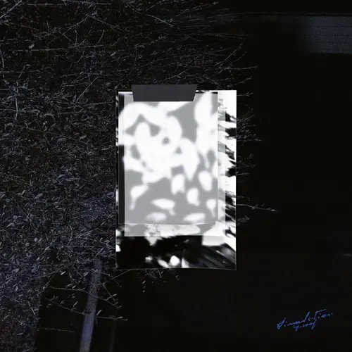 Groof - Simulation (Oscar Mulero Remix) : 12inch