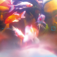 SY3 - 梦游 Sleepwalker