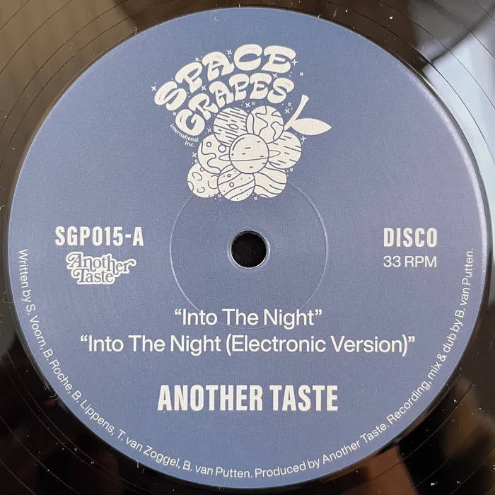 Another Taste - Into The Night : 12inch