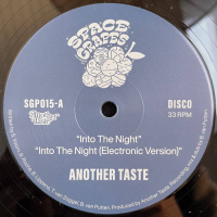 Another Taste - Into The Night