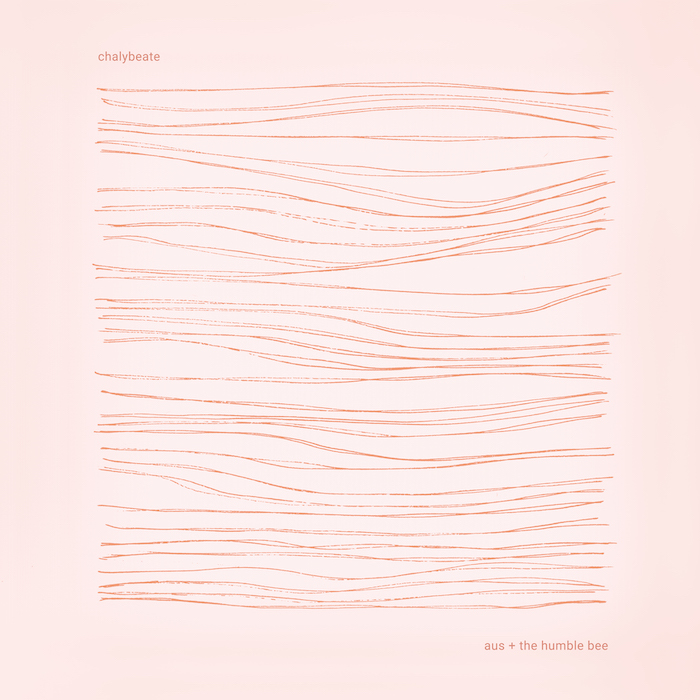 aus + The Humble Bee - CHALYBEATE : LP