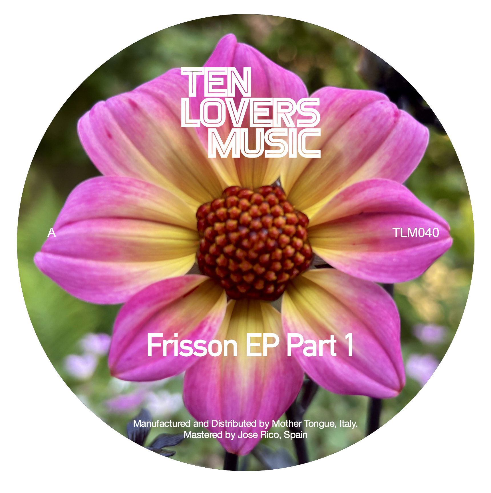 VARIOUS - Title: Frisson Ep Part 1 : 12inch