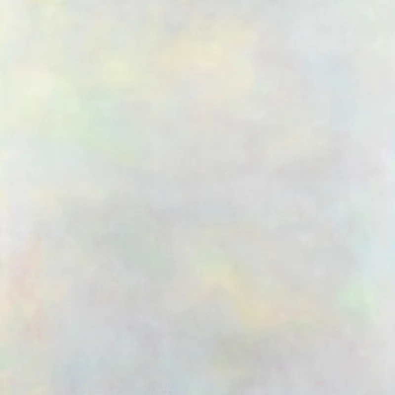 Variant - The Setting Sun : 12inch×2