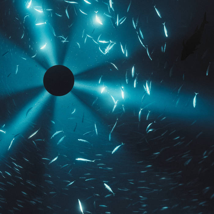 Laurel Halo - Midnight Zone (Original Soundtrack to the Film by Julian Charrière) : LP