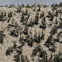 Gregory Uhlmann - Extra Stars