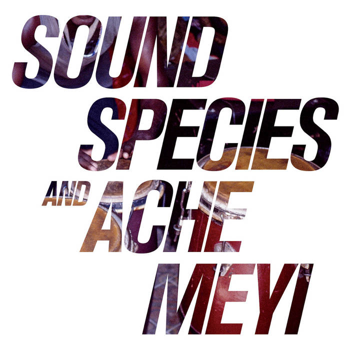 Soundspecies & Ache Meyi  - Soundspecies & Ache Meyi : LP