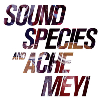Soundspecies & Ache Meyi  - Soundspecies & Ache Meyi