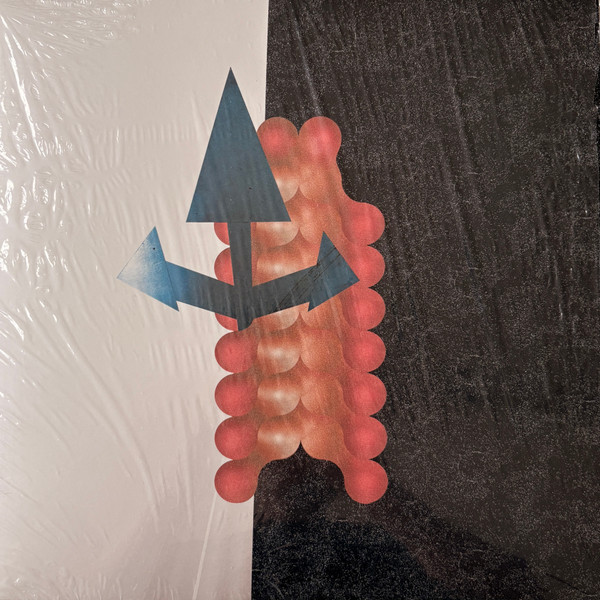 Wata Igarashi & Polygonia - Cross Passage : 12inch