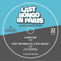 Last Bongo In Paris - A New Day