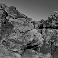 Pugilist - Found Sound