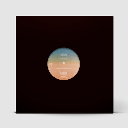 Various Artists - Paraiso (The True Spirit Of Ibiza) : 12inch