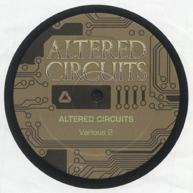 Various Artists - Various 2 (Vinyl) | NEWTONE RECORDS