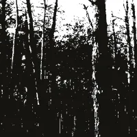 Sofus Forsberg - Cosmic Cycles